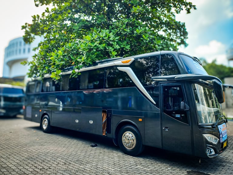 Intercity touristic coach bus